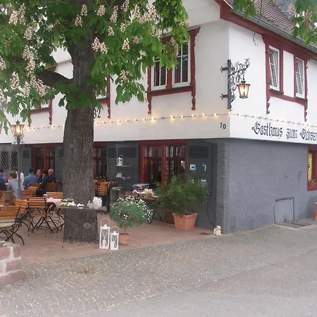 Guest house Zum Ochsen