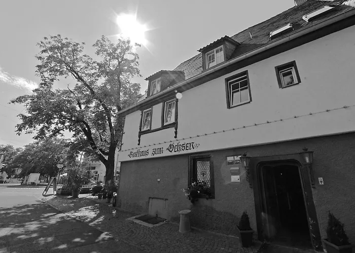 Guest house Zum Ochsen